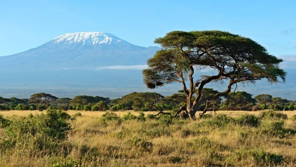 13 Days Spirit of Kenya & Tanzania Safari - Image 15