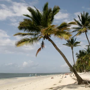 12 Days Bush to Beach Kenya Safaris