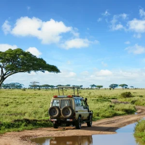 12 Days Spirit of Kenya & Tanzania Safaris