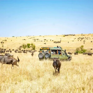 13 Days Spirit of Kenya & Tanzania Safari