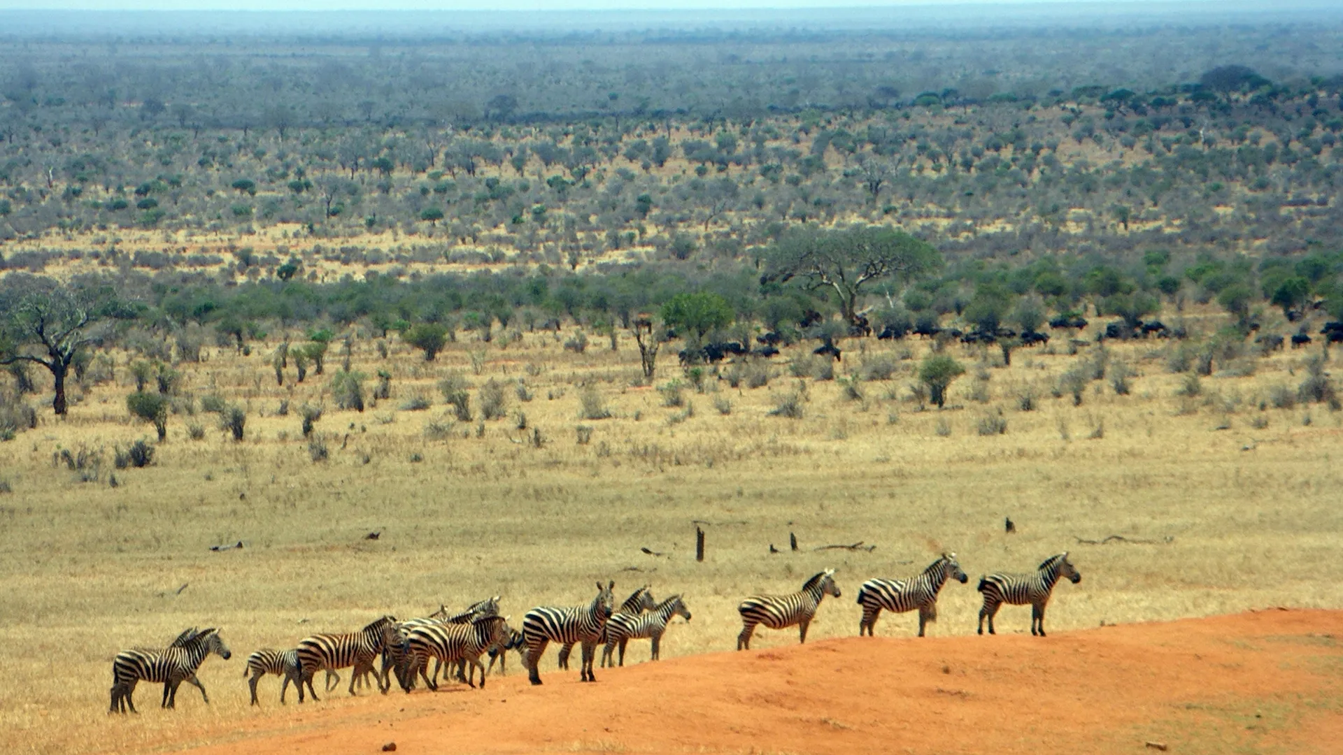 7 Days Elephant Footsteps Kenya Safari - Image 2