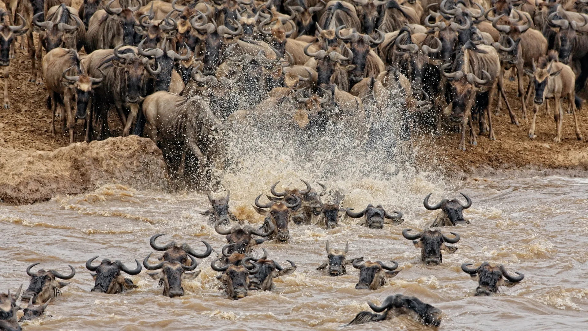 3 Days Masai Mara Kenya Safari - Image 12